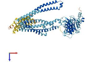 AlphaFold protein structure predicition of Mouse Recombinant Tap1 Protein, UniprotID P21958