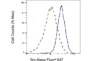 Validation of Src knockdown using flow cytometry. (Recombinant Src anticorps)