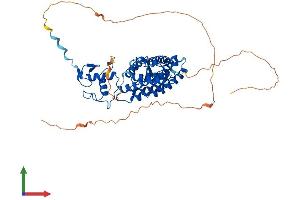AlphaFold protein structure predicition of Mouse Recombinant Rarb Protein, UniprotID P22605