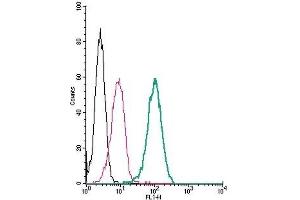 Cell surface detection of LPAR2 (EDG4) by indirect flow cytometry in live intact human THP-1 monocytic leukemia cells: (black line) Cells.