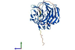AlphaFold protein structure predicition of Mouse Recombinant Rabepk Protein, UniprotID Q8VCH5