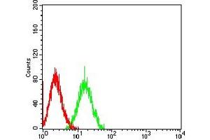 Flow cytometric analysis of HL-60 cells using CD172G mouse mAb (green) and negative control (red).