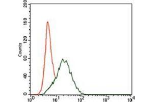 Flow cytometric analysis of HepG2 cells using PTPN11 mouse mAb (green) and negative control (red).