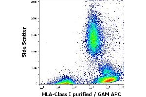 Flow cytometry surface staining pattern of human peripheral whole blood stained using anti-HLA Class I (W6/32) purified antibody (concentration in sample 4 μg/mL, GAM APC). (MICA anticorps)