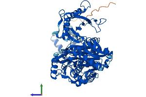 AlphaFold protein structure predicition of Mouse Recombinant Pgm2 Protein, UniprotID Q7TSV4