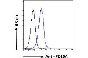 ABIN185350 Flow cytometric analysis of paraformaldehyde fixed HEK293 cells (blue line), permeabilized with 0.