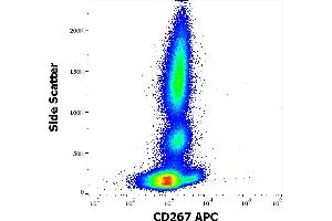 Flow cytometry surface staining pattern of human peripheral whole blood stained using anti-human CD267 (1A1) APC antibody (10 μL reagent / 100 μL of peripheral whole blood). (TACI anticorps  (APC))