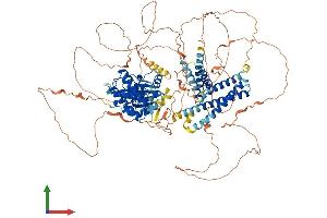 AlphaFold protein structure predicition of Human Recombinant ULK2 Protein, UniprotID Q8IYT8