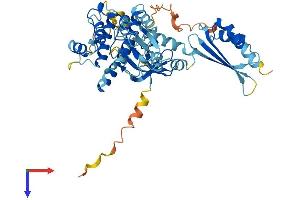AlphaFold protein structure predicition of Mouse Recombinant Nrbp2 Protein, UniprotID Q91V36