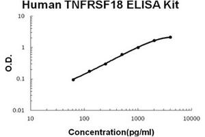 Human TNFRSF18/GITR Accusignal ELISA Kit Human TNFRSF18/GITR AccuSignal ELISA Kit standard curve.