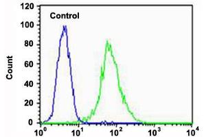 Flow cytometric analysis of HUVEC cells (green histogram) and an isotype control of mouse IgG2a (blue histogram) reacted with FLT4 monoclonal antibody  at 1:25 dilution. (FLT4 anticorps)