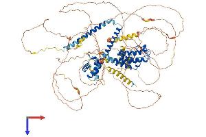 AlphaFold protein structure predicition of Mouse Recombinant Brd8 Protein, UniprotID Q8R3B7