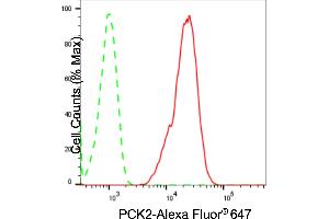 Flow cytometric analysis of PCK2 expression in C2C12 cells using PCK2 antibody (ABIN7799800), 1:2,000). (Recombinant PEPCK anticorps)
