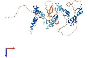 AlphaFold protein structure predicition of Human Recombinant ZNF134 Protein, UniprotID P52741