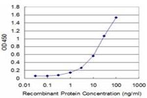 Detection limit for recombinant GST tagged PPOX is approximately 1ng/ml as a capture antibody. (PPOX anticorps  (AA 378-477))