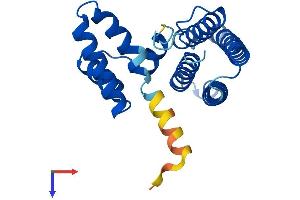 AlphaFold protein structure predicition of Human Recombinant PDCD10 Protein, UniprotID Q9BUL8