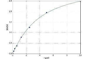 Fatty Acid Binding Protein 5 (Psoriasis-Associated) (FABP5) ELISA Kit
