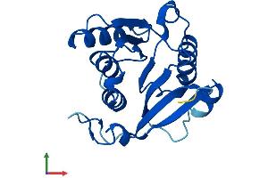 AlphaFold protein structure predicition of Human Recombinant METTL23 Protein, UniprotID Q86XA0