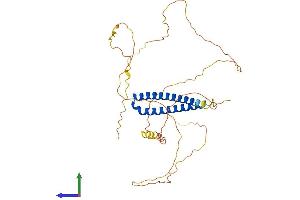AlphaFold protein structure predicition of Mouse Recombinant Pphln1 Protein, UniprotID Q8K2H1