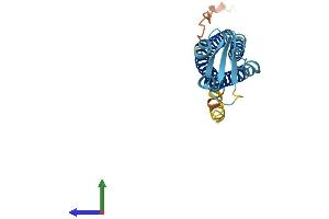 AlphaFold protein structure predicition of Mouse Recombinant Sspn Protein, UniprotID Q62147