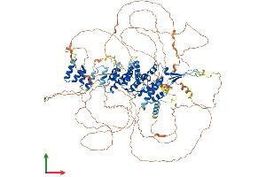 AlphaFold protein structure predicition of Human Recombinant SEC16B Protein, UniprotID Q96JE7