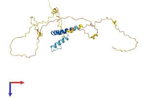 AlphaFold protein structure predicition of Mouse Recombinant Frat1 Protein, UniprotID P70339