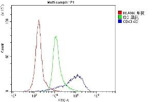 7. (CD43 anticorps  (AA 272-400))