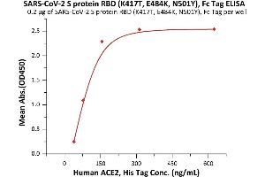 Immobilized SARS-CoV-2 S protein RBD (K417T, E484K, N501Y), Fc Tag (ABIN6992401) at 2 μg/mL (100 μL/well) can bind Human ACE2, His Tag (ABIN6952618,ABIN6952641) with a linear range of 39-156 ng/mL (QC tested). (SARS-CoV-2 Spike Protein (P.1 - gamma, RBD) (Fc Tag))