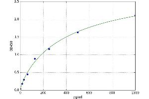 Tissue Polypeptide Antigen (TPA) ELISA Kit