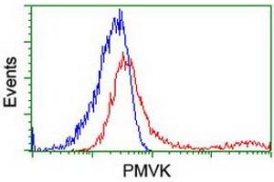 HEK293T cells transfected with either RC202867 overexpress plasmid (Red) or empty vector control plasmid (Blue) were immunostained by anti-PMVK antibody (ABIN2454969), and then analyzed by flow cytometry. (PMVK anticorps)