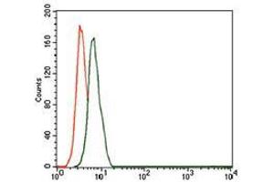 Flow cytometric analysis of HeLa cells using CD59 mouse mAb (green) and negative control (red).