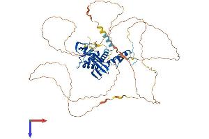 AlphaFold protein structure predicition of Mouse Recombinant Esco2 Protein, UniprotID Q8CIB9