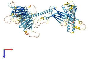 AlphaFold protein structure predicition of Mouse Recombinant Faap100 Protein, UniprotID A2ACJ2