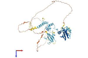 AlphaFold protein structure predicition of Human Recombinant FBXO7 Protein, UniprotID Q9Y3I1