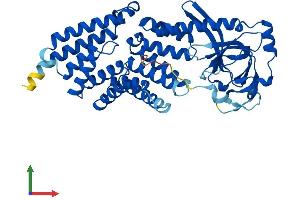 AlphaFold protein structure predicition of Human Recombinant TTC5 Protein, UniprotID Q8N0Z6