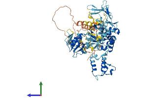 AlphaFold protein structure predicition of Mouse Recombinant Smurf2 Protein, UniprotID A2A5Z6