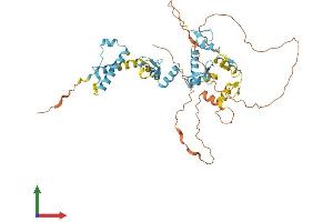 AlphaFold protein structure predicition of Human Recombinant ZFP57 Protein, UniprotID Q9NU63