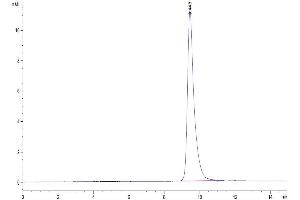 Interleukin 6 (IL6) (AA 28-212) protein (His tag)