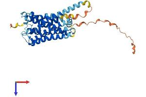 AlphaFold protein structure predicition of Mouse Recombinant Gpr157 Protein, UniprotID Q8C206