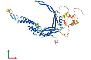 AlphaFold protein structure predicition of Human Recombinant TMEM151A Protein, UniprotID Q8N4L1