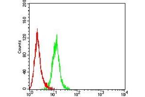Flow cytometric analysis of Hela cells using FADD mouse mAb (green) and negative control (red).