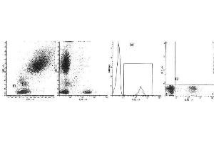 Image no. 1 for anti-CD19 Molecule (CD19) antibody (PE) (ABIN1105977)