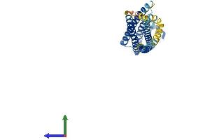 AlphaFold protein structure predicition of Mouse Recombinant Stx1b Protein, UniprotID P61264