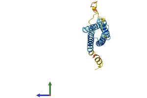 AlphaFold protein structure predicition of Mouse Recombinant Cmtm6 Protein, UniprotID Q9CZ69