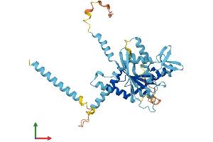 AlphaFold protein structure predicition of Human Recombinant SEPTIN5 Protein, UniprotID Q99719