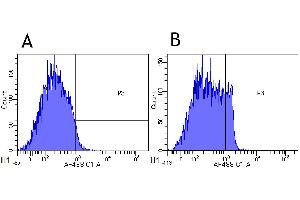 Flow-cytometry using anti-CD4 antibody MT310   Cynomolgus monkey lymphocytes were stained with an isotype control (panel A) or the rabbit-chimeric version of MT310 ( panel B) at a concentration of 1 µg/ml for 30 mins at RT. (Recombinant CD4 anticorps)
