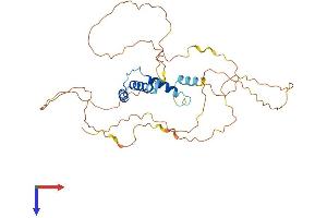 AlphaFold protein structure predicition of Mouse Recombinant Ssbp2 Protein, UniprotID Q9CYZ8