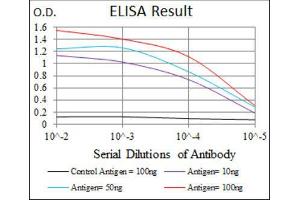 ELISA image for anti-Keratin 5 (KRT5) (AA 316-590) antibody (ABIN1845567) (Cytokeratin 5 anticorps  (AA 316-590))