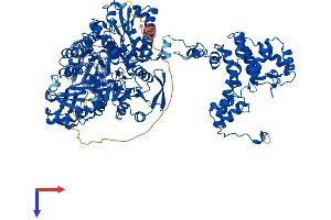 AlphaFold protein structure predicition of Human Recombinant ACLY Protein, UniprotID P53396
