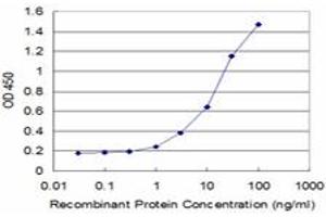 Detection limit for recombinant GST tagged CRLF1 is approximately 1ng/ml as a capture antibody. (CRLF1 anticorps  (AA 135-230))